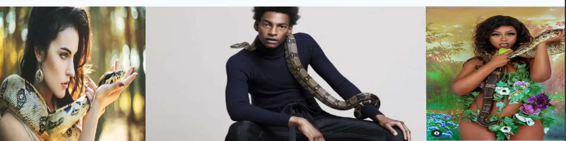 A close-up of the professional photo gallery showcasing the snakes in a safe, artistic manner.