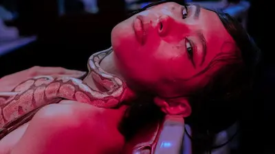 A mobile phone showcasing the immersive one-page website for Kaarme Exotic snake rentals.