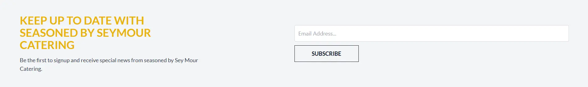 A screenshot of the prominent email newsletter signup form.